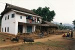 Yolmo aldea de tribal